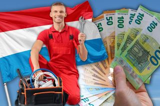 Najbogatszy kraj UE płaci 6000 euro i szuka pracowników. Kogo potrzebują?