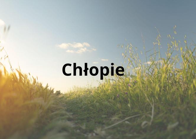 Chłopie