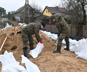 Powódź pod Wyszkowem. Wojsko pomaga zagrożonym gospodarstwom
