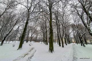 Park Jakuba Wagi zimą