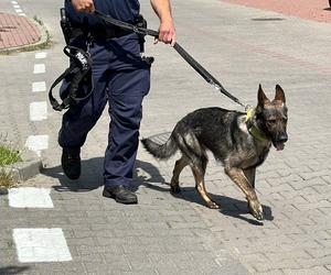 Alarm w Piasecznie! Więzień pobił policjanta i uciekł sprzed sądu!