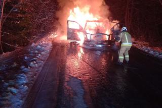 W Borownicy doszczętnie spłonął Dodge Ram. Auto zapaliło się podczas jazdy [ZDJĘCIA]