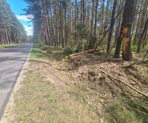 Mateusz miała tylko 20 lat, zginął w drodze do pracy