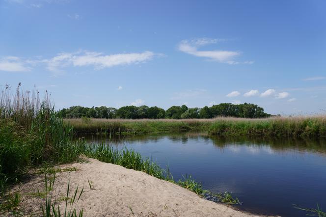 Narwiański Park Narodowy