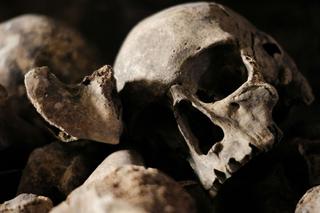 Makabryczne znalezisko w Ostródzie. W walizce były trzy czaszki i kości