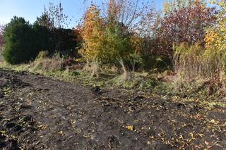 Zamordowana, podejrzany, miejsce odkrycia zwłok