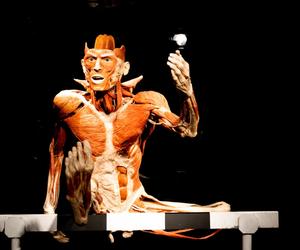 Kontrowersyjna wystawa Body Worlds wraca do Katowic. Zobaczymy ją w galerii Szyb Wilson