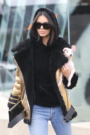 Kendall Jenner z nowym psem