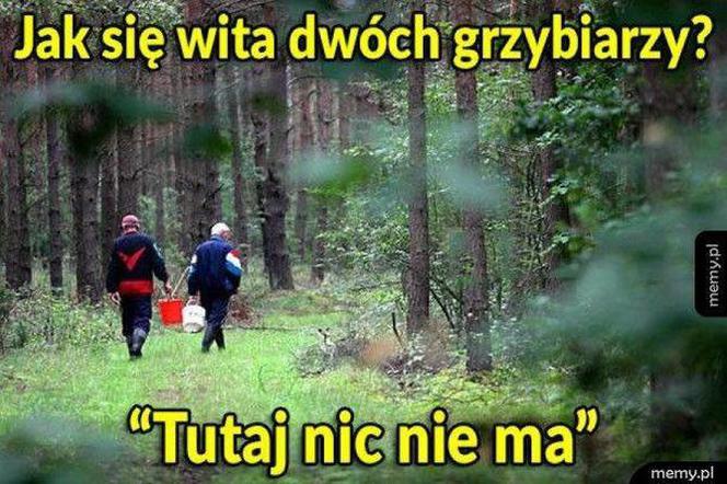 Trwa sezon na grzyby! Oto najlepsze memy o grzybiarzach!