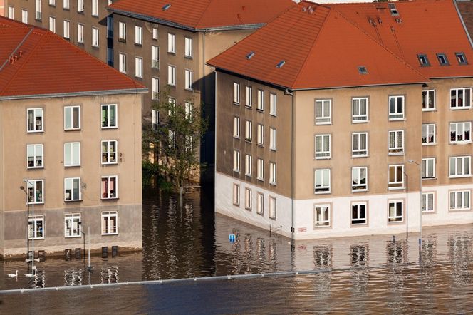 Problemy związane z jakością powietrza i pleśnią