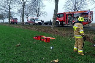 Śmiertelny wypadek pod Wschową! 49-latka nie miała szans po uderzeniu w drzewo i dachowaniu [ZDJĘCIA].