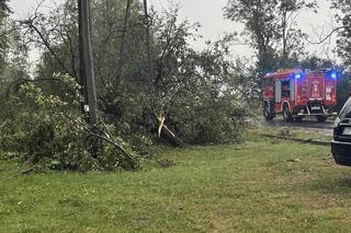Trąba powietrzna w Łódzkiem. Zniszczenia w gminie Poświętne