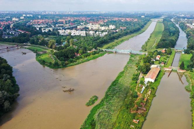 Fala kulminacyjna na Odrze. Czy Wrocławianie obawiają się powodzi?