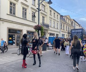 Parada Wolności 2025