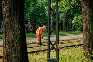 Powrót tramwajów do Konstantynowa. Kolejny etap prac. Utrudnienia dla pasażerów MPK