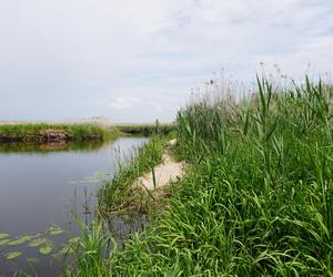 Narwiański Park Narodowy