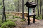Ścieżka przyrodnicza „Rezerwat Zakręt” w Mazurskim Parku Krajobrazowym