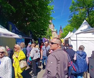 Piknik nad Odrą