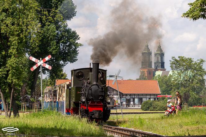 Dni Pary na poznańskiej Maltance! W weekend wyjedzie Borsig Bn2t!