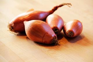 Cebula szalotka – uprawa, zastosowanie, wartości odżywcze cebuli szalotki