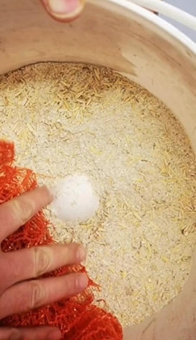 Operacja bociana Zuzi w Przemyślu