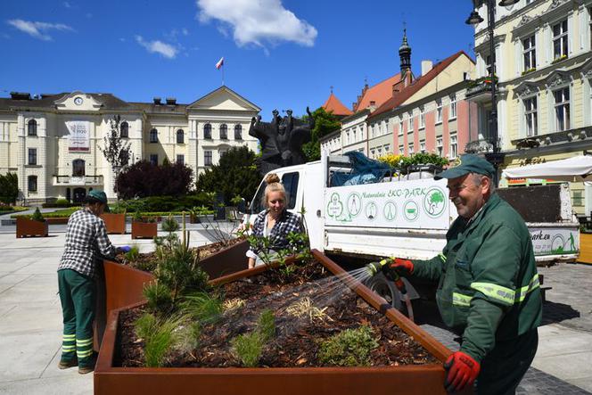 Centrum Bydgoszczy będzie bardziej kolorowe
