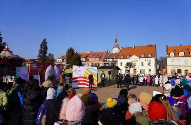 Dwumetrowe płuca w samym sercu Żor. Pokazują jak zanieczyszczenia osadzają się na powierzchni modelu