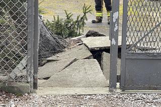 Wichury w Polsce sieją spustoszenie. Potężny orkan zaatakował z wielką siłą