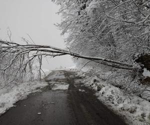 Ponad 300 interwencji strażaków w Tarnowie i regionie