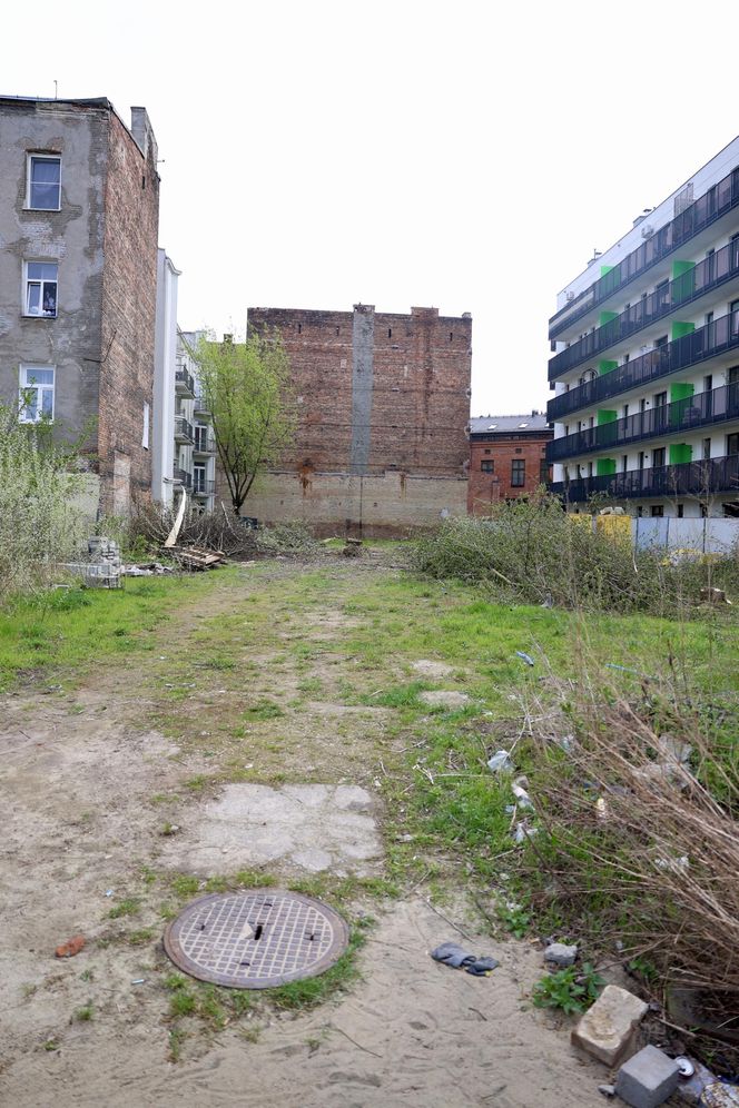 Deweloper nielegalnie wyciął dwa drzewa w Warszawie. Mieszkańcy oburzeni. „Będziemy reagować”