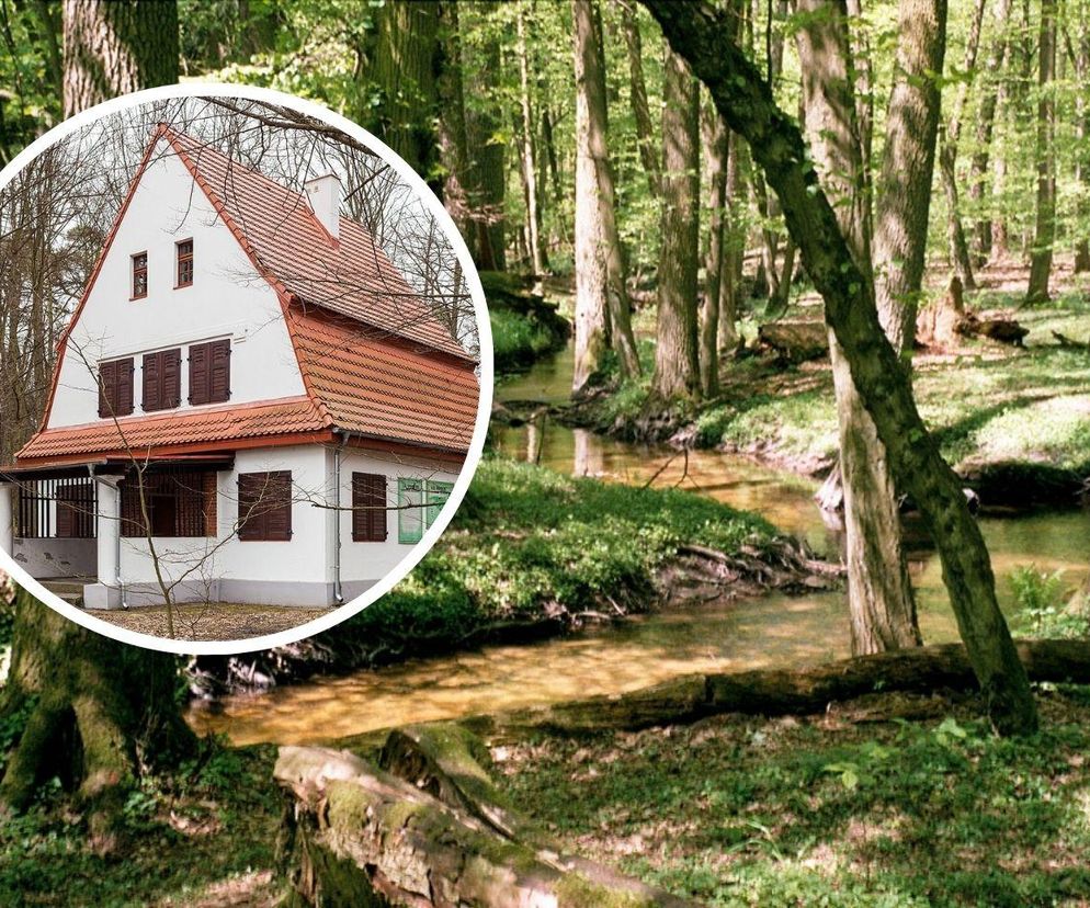 Ta gmina jest w TOP 5 najbogatszych w Kujawsko-Pomorskiem. Tu znajduje się najstarszy rezerwat na ziemi chełmińskiej!