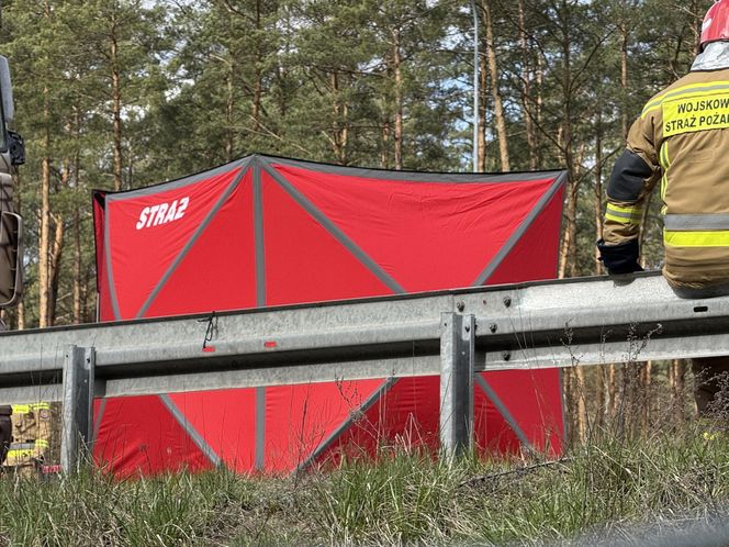 Śmiertelny wypadek na S8! Jedna osoba nie żyje po zderzeniu trzech 