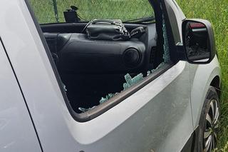 Piesek uwięziony w aucie na terenie Słowińskiego Parku Narodowego. Gdy znaleźli go policjanci, ciężko dyszał