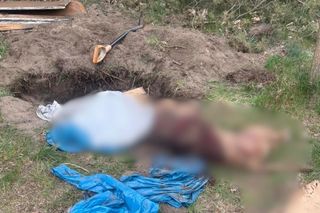 Zwłoki bestialsko zabitego psa w Tomaszowie Mazowieckim. Policja przesłuchała właścicielkę i potencjalnego sprawcę
