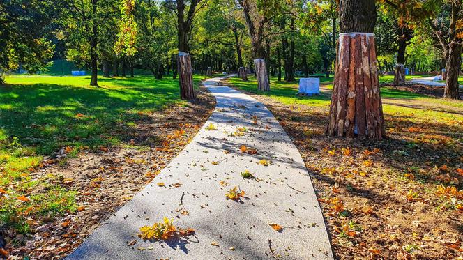 Kolejny park w Poznaniu przechodzi metamorfozę!