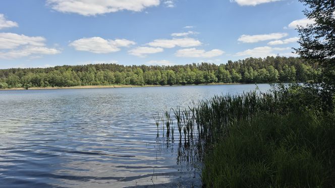 To jezioro w Olsztynie ma niezwykle czystą wodę. Jest kilka dzikich plaż, które świecą pustkami