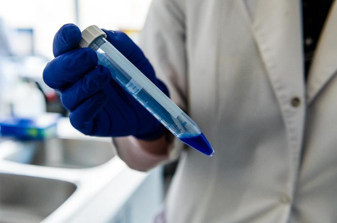Koronawirus w Trójmieście. Tak pracują laboratoria