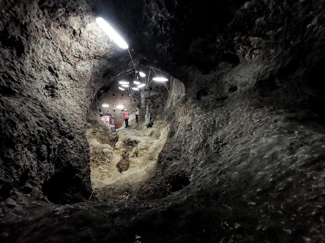 Niezwykłe odkrycie na Jurze. Archeolodzy znaleźli sieć ukrytych jaskiń, a w nich stare szczątki zwierząt [ZDJĘCIA]