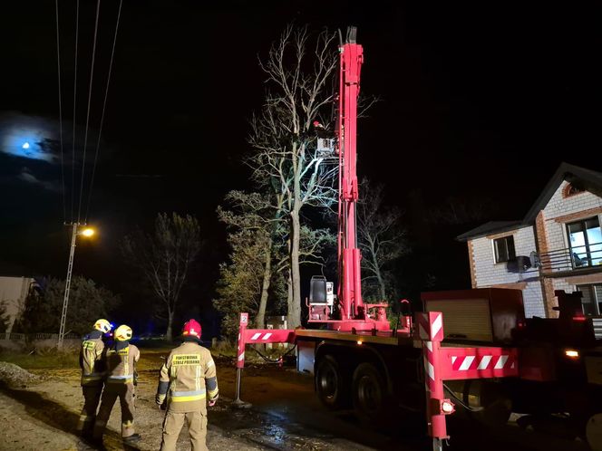 Silny wiatr i ulewy nad Łódzkiem