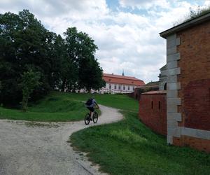 Lato w Parku miejskim w Zamościu 