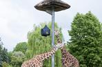 Zoo w Chorzowie ma nowe pawilony