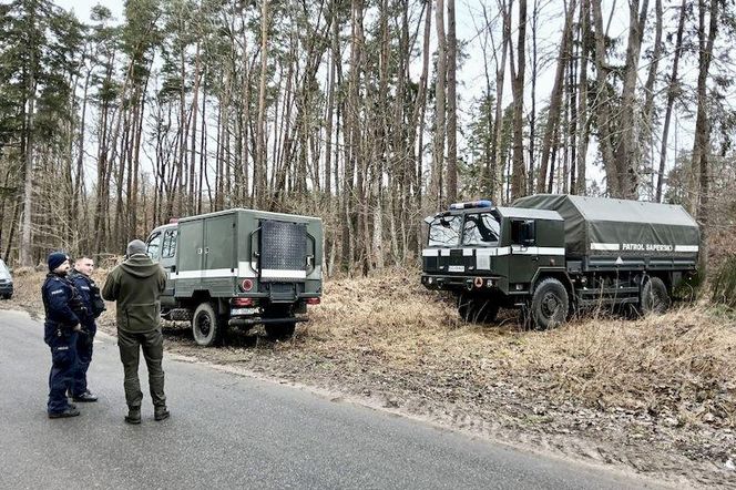 Dziki odkopały niewybuchy z czasów II wojny światowej