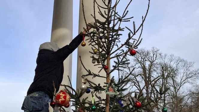 Udekorowana choinka stanęła na środku rzeki w Kaliszu