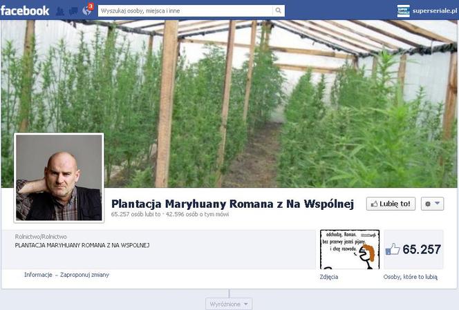 Plantacja marihuany Romana z "Na Wspólnej" na Facebooku