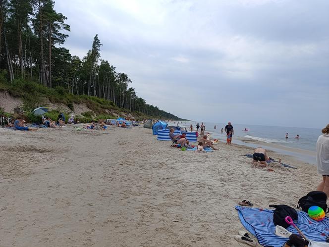 Badanie geologiczne na plaży w Lubiatowie. Budowa elektrowni jądrowej w gminie Choczewo