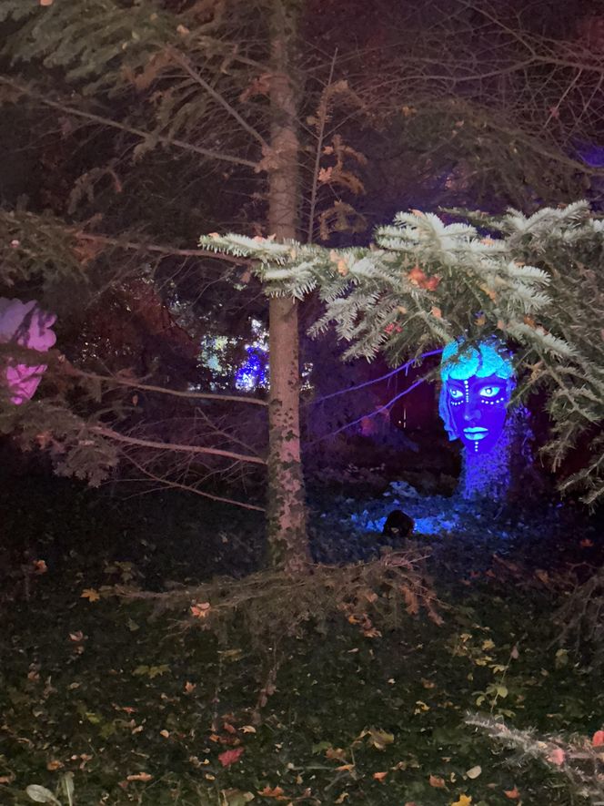 Lumina Park Poznań w święta 