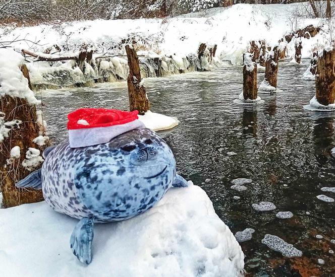 Mikołajki u Morsów pod Marcinkowem