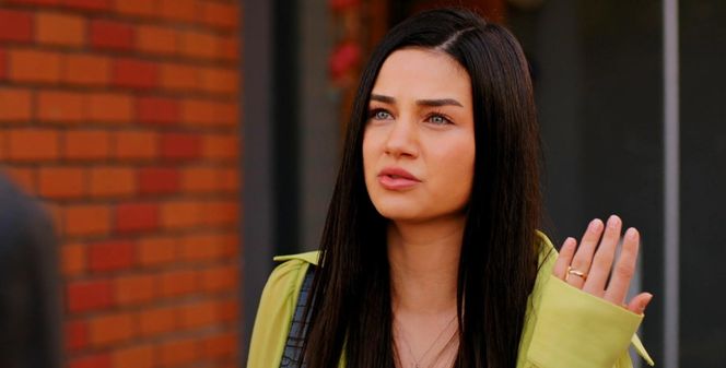 Miłość i nadzieja odc. 280. Kuzey, Bahar