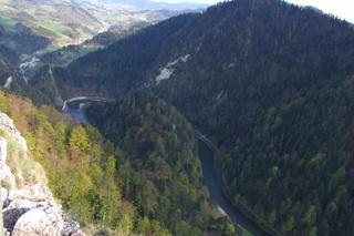 Niebieskie ślimaki można spotkać na górskich szlakach i nie tylko. Trwa prawdziwa inwazja!