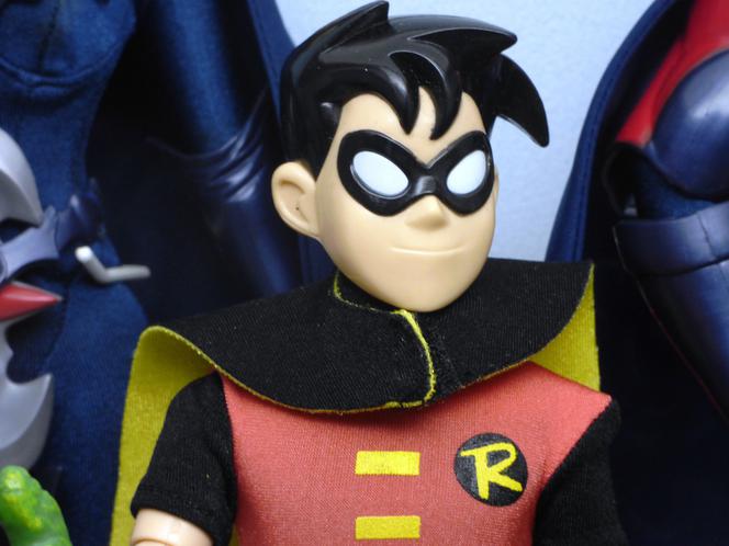 Robin